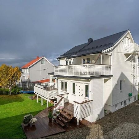 Tromso'S Best Location? City & Nature 5 Mins Away. מראה חיצוני תמונה