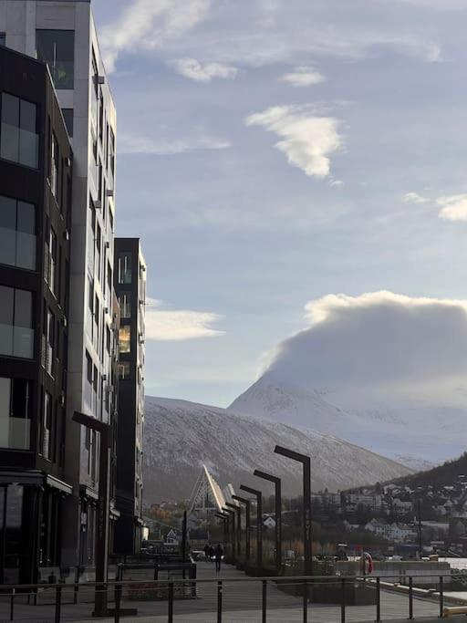 Tromso'S Best Location? City & Nature 5 Mins Away. מראה חיצוני תמונה
