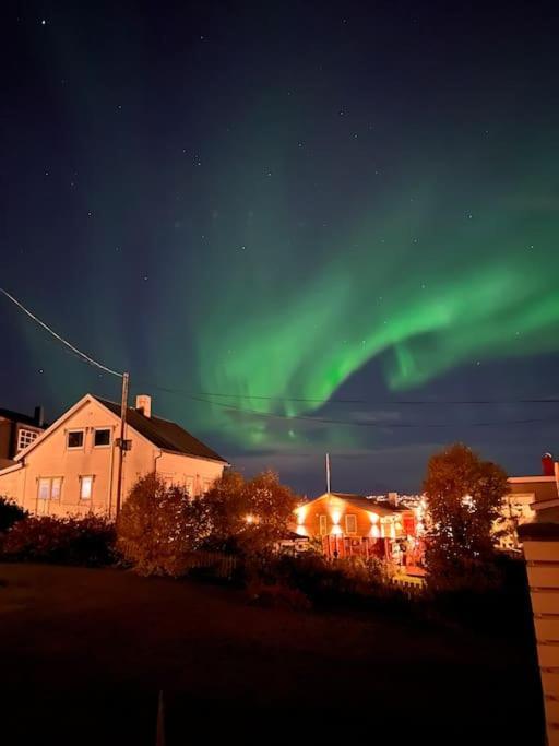 Tromso'S Best Location? City & Nature 5 Mins Away. מראה חיצוני תמונה
